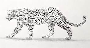 Cómo dibujar un leopardo de perfil a lápiz