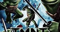 Ver TMNT: Tortugas Ninja Jóvenes Mutantes (2007) Online | Cuevana 3 Peliculas Online