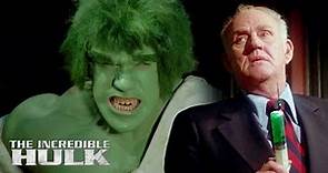 The Hulk Stops Poisonous Plot! | The Incredible Hulk