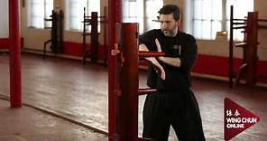 What is Wing Chun?