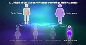 What is X-linked Recessive Inheritance?