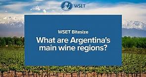 WSET Bitesize - What are Argentina's main wine regions?
