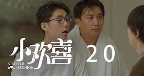 小歡喜 20 | A Little Reunion 20（黃磊、海清、陶虹等主演）
