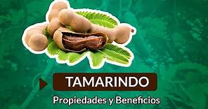 Beneficios y Propiedades del Tamarindo