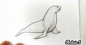 Cómo dibujar un LOBO MARINO | How to draw a SEA WOLF