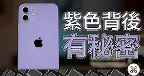 紫色 iPhone 12 比你想的有意義！會出這支手機，竟然與「他」有關 !?
