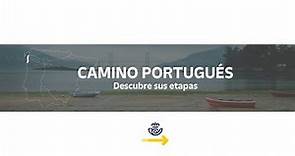 El Camino Portugués por etapas