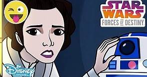 Star Wars: Forces of Destiny | Beats of Echo Base | Official Disney Channel UK