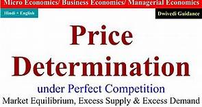 Price Determination under Perfect Competition, price determination of firm and industry, economics