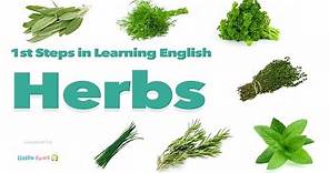 English Vocabulary - HERBS