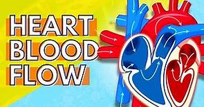 How Blood Flows Through the Heart