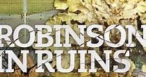 Robinson in Ruins - movie: watch streaming online