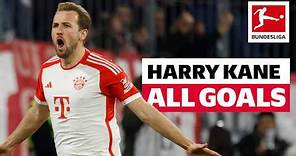 Harry Kane - 20 Goals In Just 14 Games!