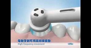 Oral B- 如何使用你的電動牙刷