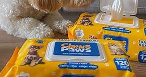 CLAWS & PAWS | Accesorios e Higiene Mascotas on Instagram: "Porque nuestros engreídos 🐶🐱 las usan SIEMPRE, nos sacan de apuros y las usamos en cualquier momento. Ahora las toallitas húmedas en su nueva presentación de 120 unidades. 💛 📍Encuentra estos productos CLAWS & PAWS en las principales veterinarias, pet shops, tiendas online, Sodimac, Wong y Metro a nivel nacional. 🇵🇪"