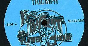 Triumph - King Biscuit Flower Hour