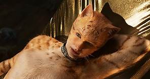 Everything You Need To Know About Taylor Swift's Role In "Cats"