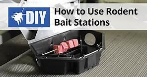 How to Use Rodent Bait Stations