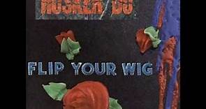 Flip You Wig (1985) - Full Album by Hüsker Dü [High Quality]