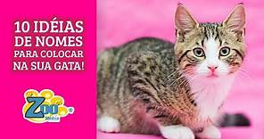 10 Nomes de Gatos Fêmeas para VOCÊ ESCOLHER PARA SUA GATINHA HOJE! Nomes Super Legais e Criativos!