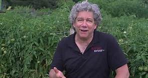 Jim Simon, Rutgers Dept. of Plant Biology, speaks about basil breeding