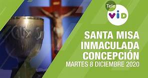 Misa de hoy ⛪ Martes 8 de Diciembre de 2020 🎄 Día de la Inmaculada Concepción - Tele VID