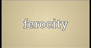 Ferocity Meaning