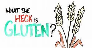 What The Heck Is Gluten?