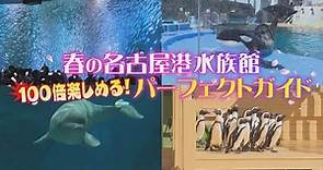 名古屋港水族館へ行く前にチェック！細かすぎる攻略ガイド