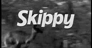 Skippy - Serie de TV ( Presentación )