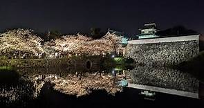 (北九州十日賞櫻) 福岡市區-東長寺、櫛田神社、舞鶴公園、夜櫻