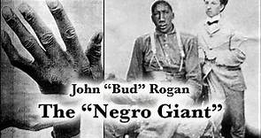 John Rogan, The "Negro Giant" | The Tallest African American Man in History