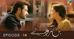 Bin Roye - Episode 14 - Mahira Khan - Humayun Saeed - Armeena Rana Khan - HUM TV