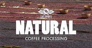 Natural Coffee Processing