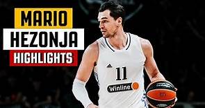 Mario Hezonja BEST Career Highlights & Moments - The Perfection!