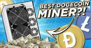Best Dogecoin Miner for 2024?! DG 1