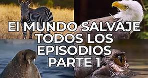 El Mundo Salvaje: Todos los Episodios Parte 1 | Free Documentary Nature - Español