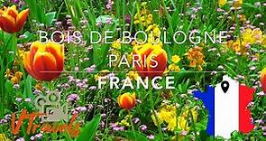 Bois de Boulogne Paris | FRANCE