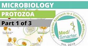 Protozoa | Microbiology | USMLE STEP 1 | Part 1 of 3