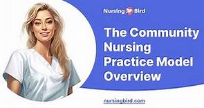 The Community Nursing Practice Model Overview - Essay Example