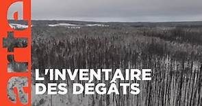 Québec : après les incendies | ARTE Reportage