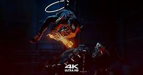 Spider Man 4K Gaming Wallpaper, Animated desktop wallpaper for PC, 4K HDR