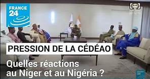 La Cédéao active sa "force en attente" : quelles réactions au Niger et au Nigéria ?