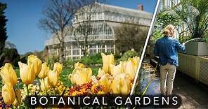 National Botanic Gardens | Dublin 2018