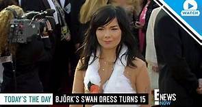 Today's the Day: Bjork's Swan Dress Turns 15