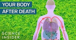 What Happens To Your Body After You Die