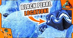 BLACK PEARL LOCATION | 2 Methods To Get Black pearls | Ark Crystal Isles Guide