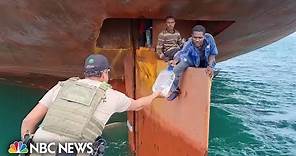 Watch: 4 stowaways rescued from ship's rudder after crossing the Atlantic