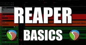 REAPER Basics - The Complete Beginner Tutorial