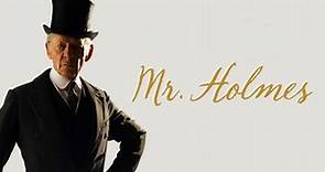 Mr Holmes 2015 Film | Ian McKellan as Sherlock Holmes